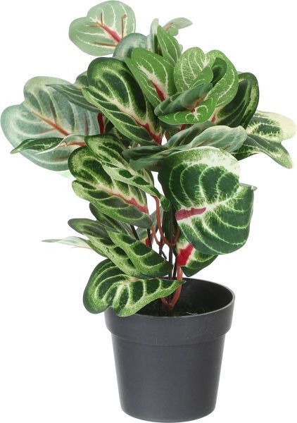 Цветочная композиция искусственная Аглаонема светло-зеленая PFC(NL)-717C