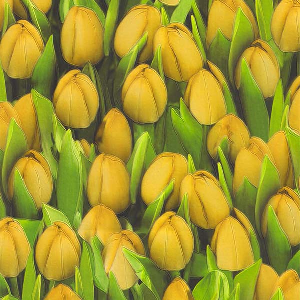 Шпалери зі спіненого вінілу Sintra Decoration Тюльпани 416730 0,53x10,05 м 