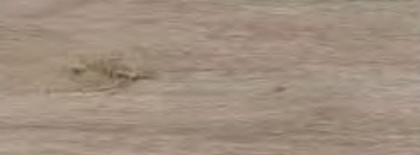 Плитка Cifre Хемптон Оак 20x60 