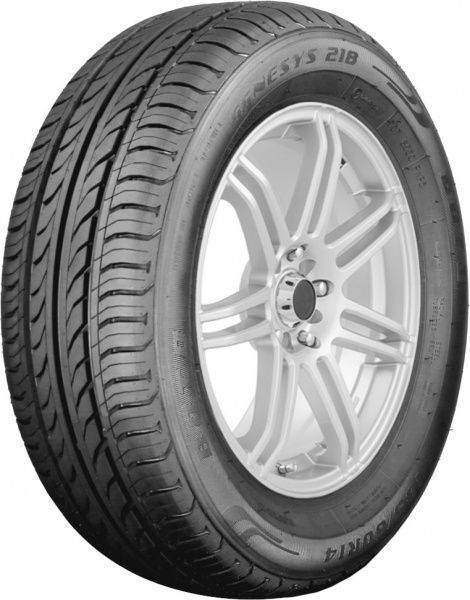 Шина BOTO GENESYS 218 175/70R13 82H літо