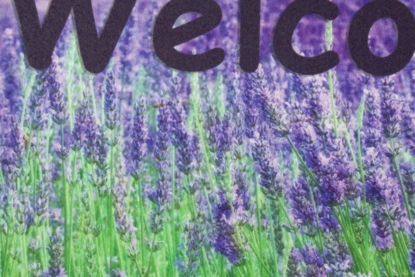 Коврик New Way Dolphin SP-163 0,45х0,75 м