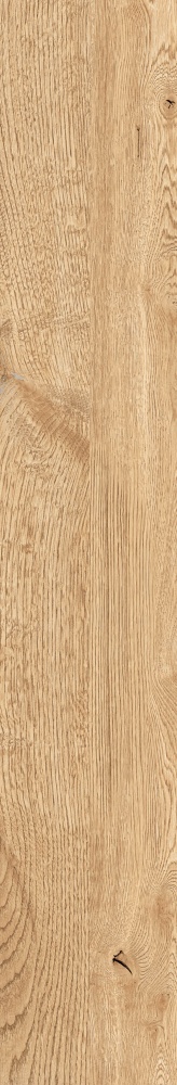 Плитка Allore Group Armario Honey F PR R Mat 19,8x120 см