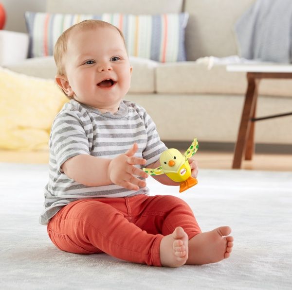 Игрушка-погремушка Fisher Price Удивительные зверушки GJW22