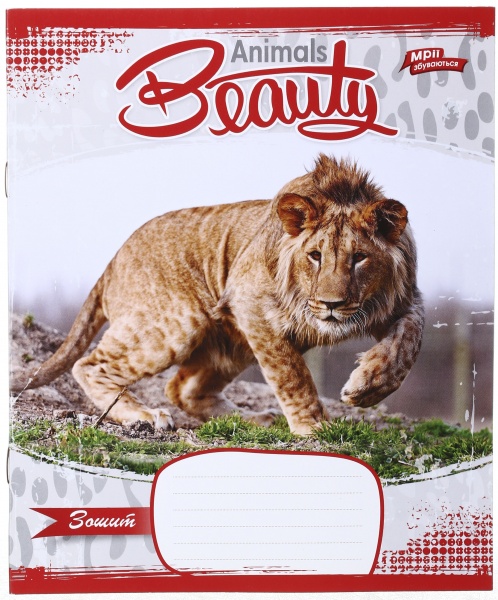 Зошит шкільний 12 аркушів у лінійку дизайн в асортименті Мрії збуваються