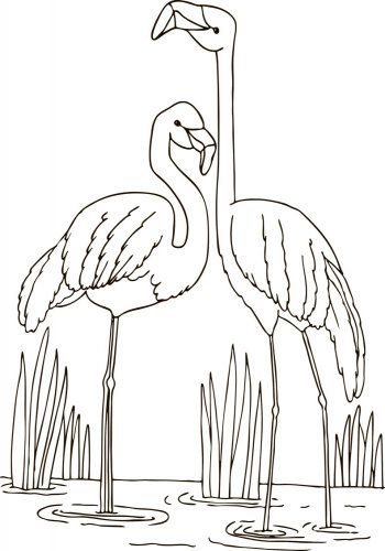 Раскраска «велика книга розмальовок : тварини» 9789667482404