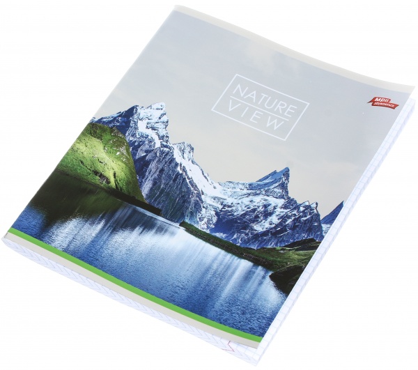 Зошит шкільний срібло 96 аркушів у клітинку в асортименті Мрії збуваються