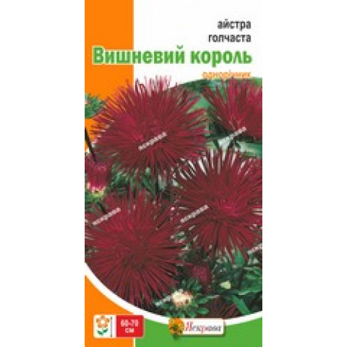 Семена Яскрава астра игольчатая Вишневый король