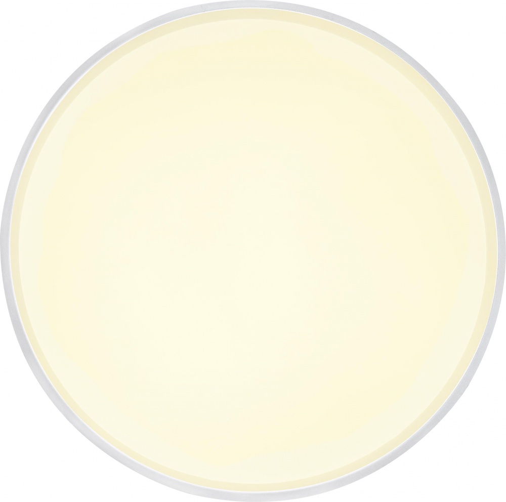 Світильник стельовий Sensio LED Isa 60 Вт білий 3000-6500 К AR-N250301395