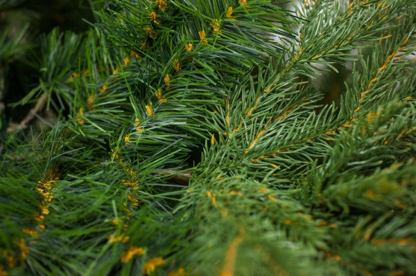 Искусственная елкаБренди-210 зеленый 