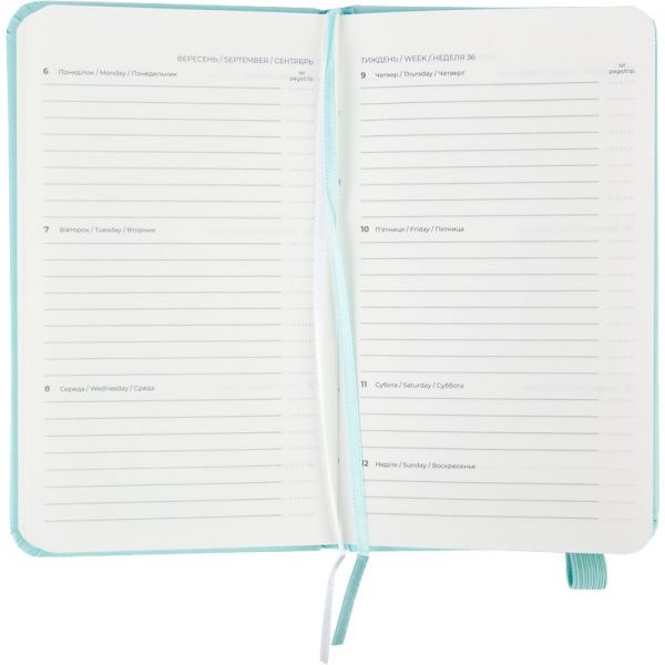 Еженедельник 2021 Pocket Strong А6- мятный Axent 46597