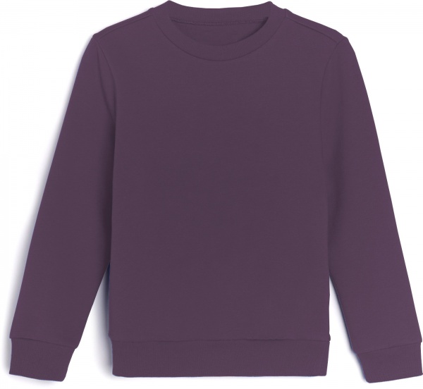 Свитшот для мальчика KOSTA р.158 27 бордовый 2240-7 