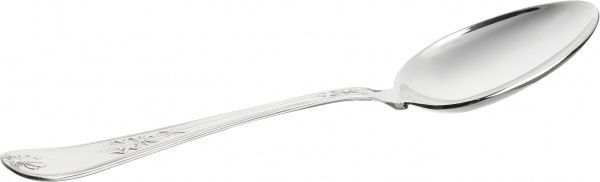 Ложка сервировочная 26,5 см 16900089 Broggi