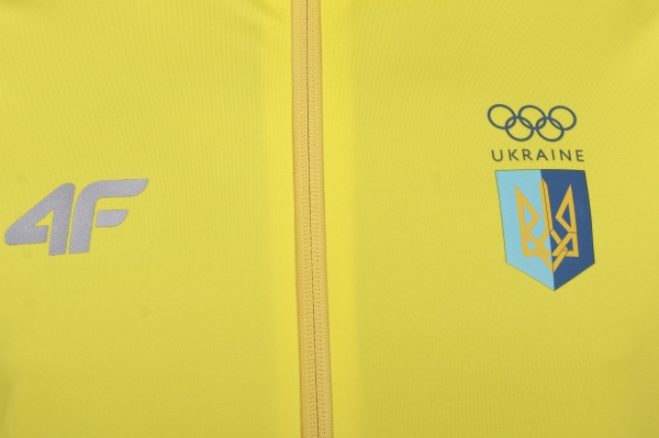 Джемпер 4F SWEATSHIRT FNK 4FSSS23TFSWM463-71S р.XL желтый