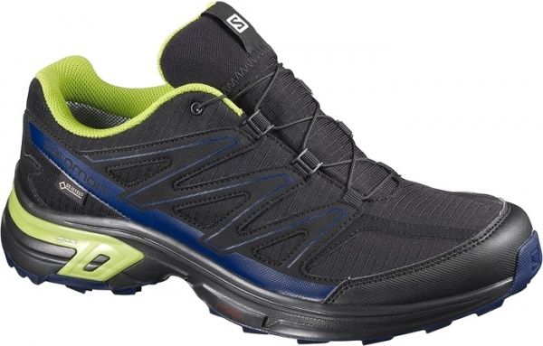 Кросівки Salomon WINGS ACCESS 2 GTX L39860400 р.11 чорний
