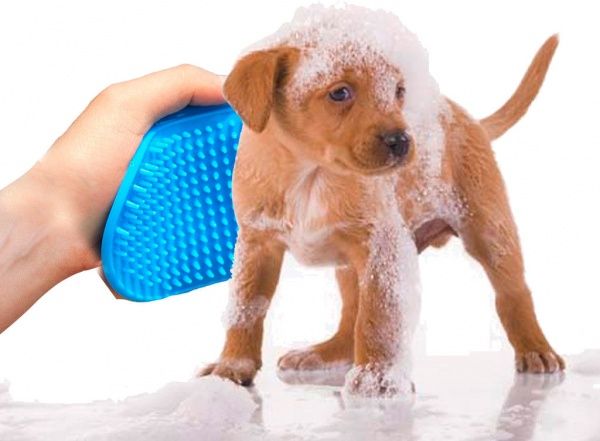 Щетка для собак 255 х 130 х 7 мм.