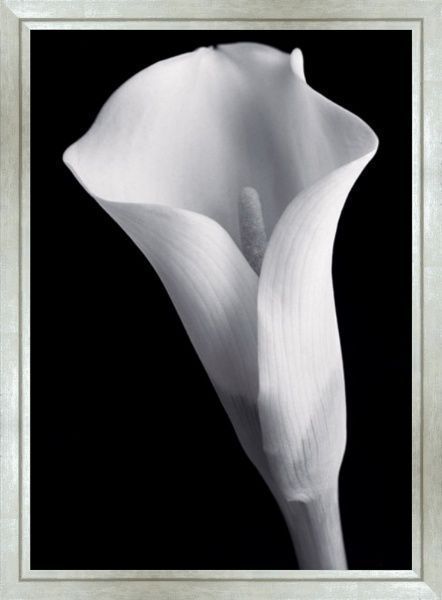 Репродукция 50x40 см SvitArt HEM1102 