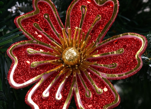 Квітка декоративна Shunda айстра 10 см золотиста