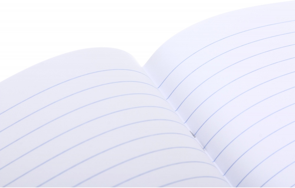 Тетрадь 24 листа в линию (2252547041017) Nota Bene