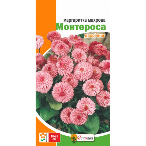 Семена Яскрава маргаритка Маргаритка махровая Монтероса (розовая)