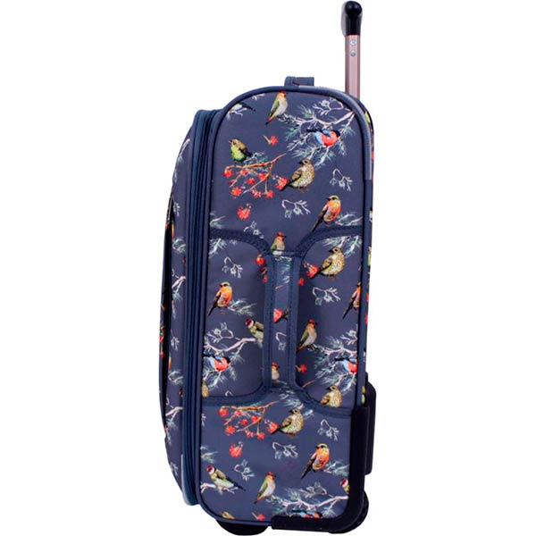 Чемодан Bagland 37666244 51 л разноцветный Леон 445 