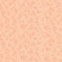 Шпалери Едем Status категорія 41 9056-11 1.06x10.05 м