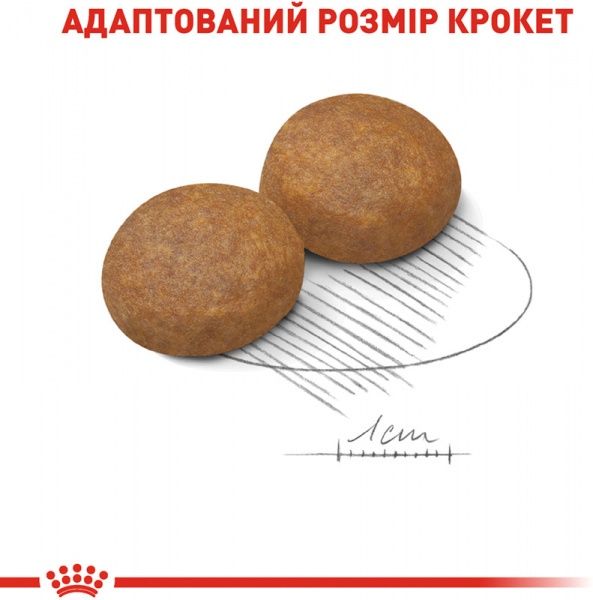 Корм Royal Canin для собак MAXI ADULT 5+ (Максі Едалт 5+), 4 кг
