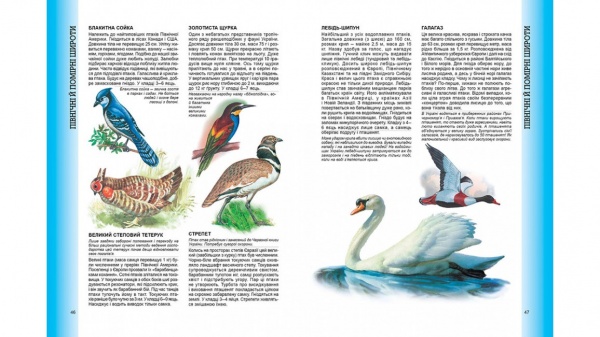 Книга подарункова «Велика енциклопедія тварин» 978-966-913-074-7