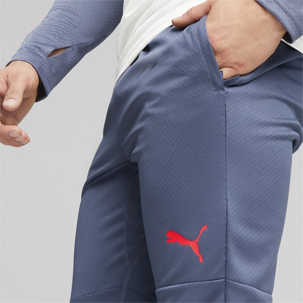Брюки Puma INDIVIDUALCUP TRAINING PANTS 65848753 р. M серый