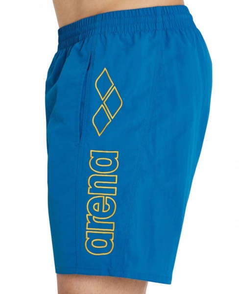 Шорти Arena BERRYN 43602-730 р. XL різнокольоровий