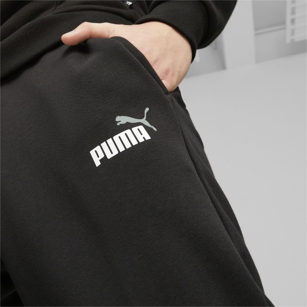 Брюки Puma ESS+ 2 COL LOGO PANTS FL CL 58676761 р. L черный