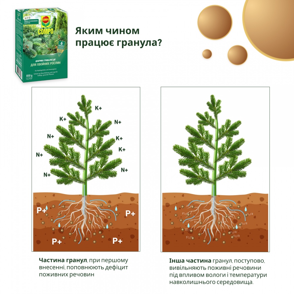 Добриво для хвойних рослин Compo 850 г 3854