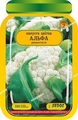 Семена Яскрава капуста цветная Альфа 100 шт. (4823069904654)