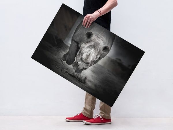Картина Носорог 560х800 Posterclub 