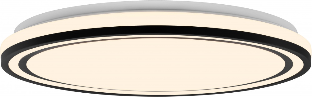 Светильник потолочный Sensio Palma 48 Вт белый 3000-6500 К AR-N250301151