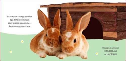 Книга «Кролик и его друзья» 978-966-948-089-7