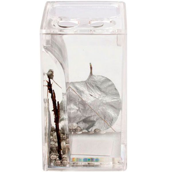 Тримач для зубних щіток Trento Pearl 37084