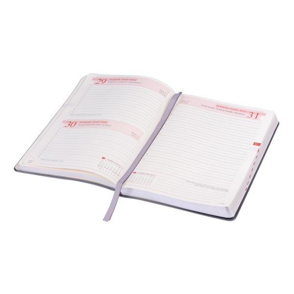 Щоденник А5 Boss 2021 сірий Leo Planner