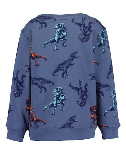 Реглан для хлопчика Blue Seven трикотажний Діно р.128 синій 864701 X* 