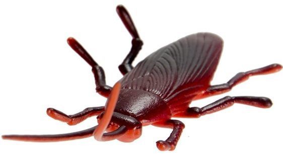 Игровой набор Wing Crown Насекомые и рептилии T33706 