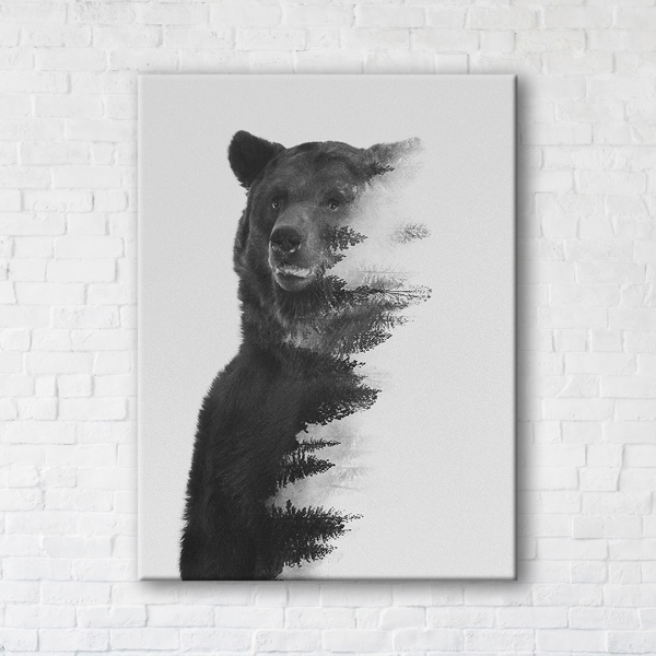 Постер Gray Bear 75x100 см Brushme 