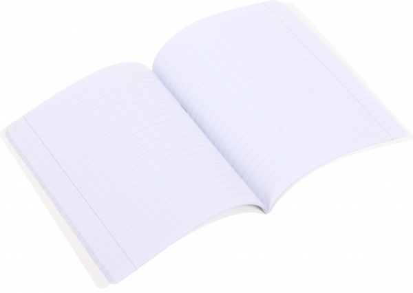 Зошит шкільний уф-лак 48 аркушів у лінійку в асортименті Мрії збуваються