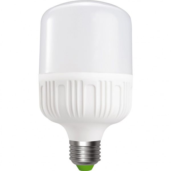 Лампа светодиодная Euroelectric Plastic 20 Вт T120 матовая E27 220 В 6500 К LED-HP-20274(P)