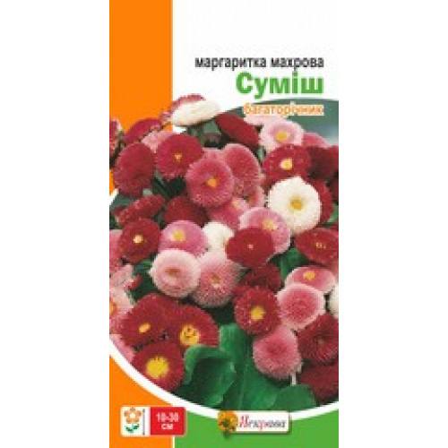 Семена Яскрава маргаритка Маргаритка махровая Смесь