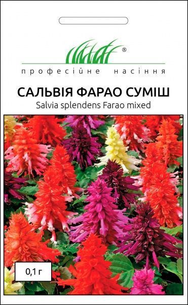 Семена Професійне насіння сальвия Фарао смесь 0,1 г