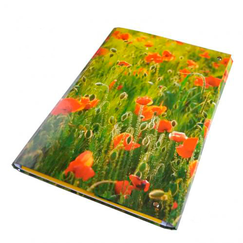 Папка-короб на липучке А4 25 мм ассорти iTEM