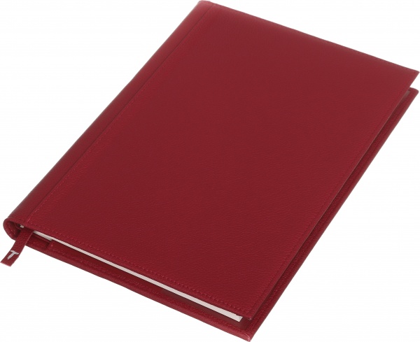 Дневник недатированный Флай красный ТЕКО A4 Е 040-00.62-312260