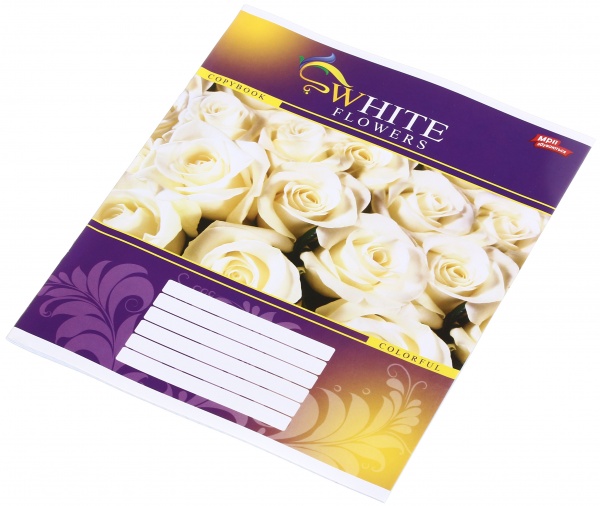 Зошит шкільний 24 аркуша у клітинку в асортименті Мрії збуваються