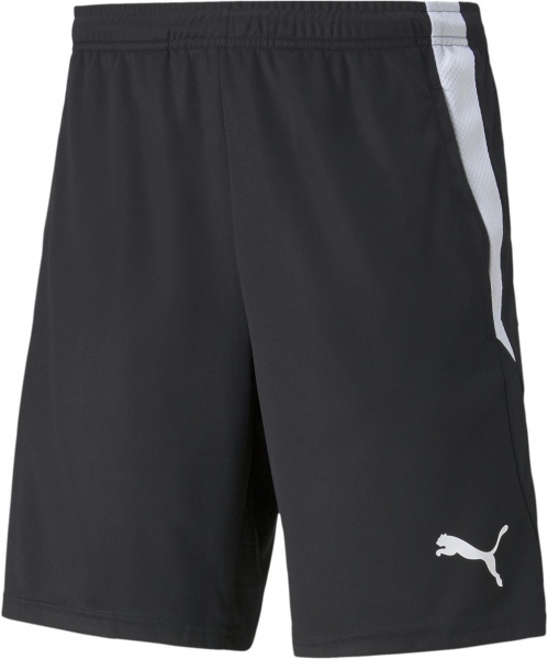 Шорты Puma TEAMLIGA TRAINING SHORTS 2 (OPEN POCKETS) 65766703 р. L черный