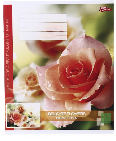 Тетрадь школьная 36 листов в клеточку Мечты сбываются