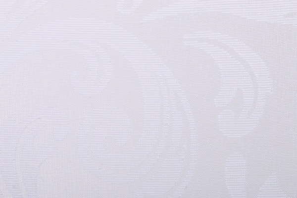 Тюль Dolly Burnout белая 290х275 см La Nuit